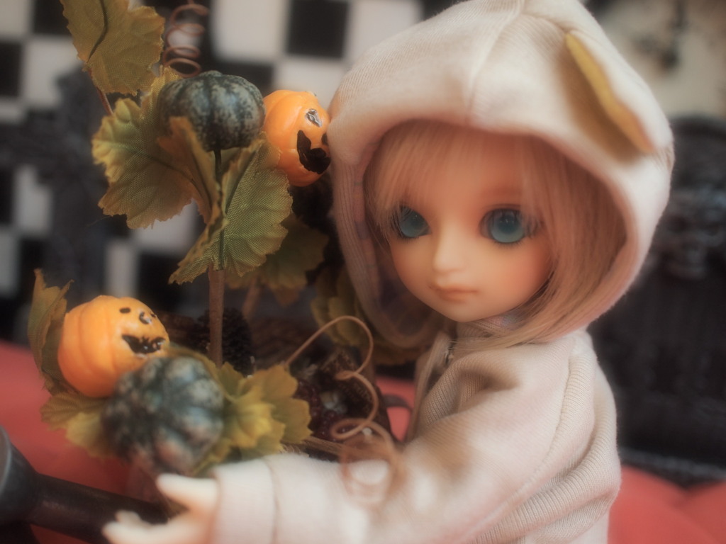 ちっちゃいかぼちゃ…食べれるの？