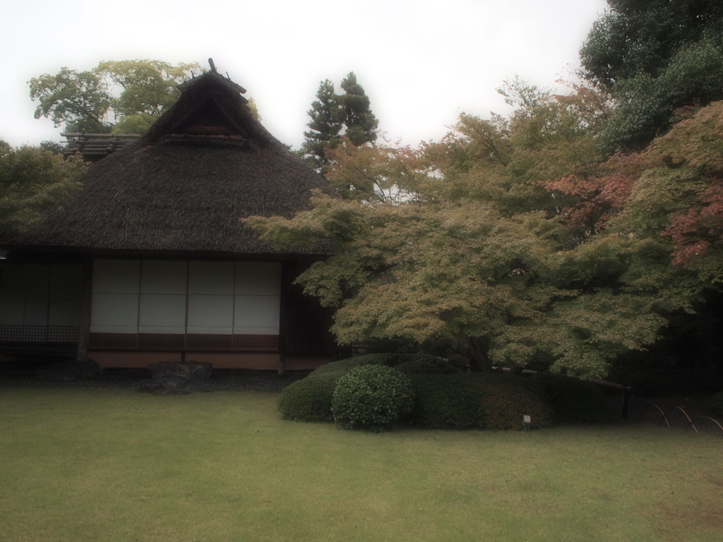 里の風景