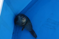 気持ちいい～♪