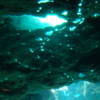 ちゅら海水族館にて