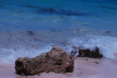 浜辺