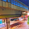 夜の首都高と17号