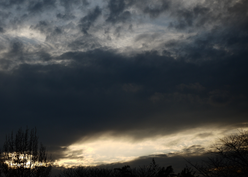 冬の空