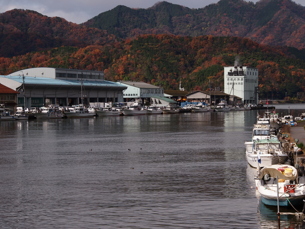 舞鶴湾