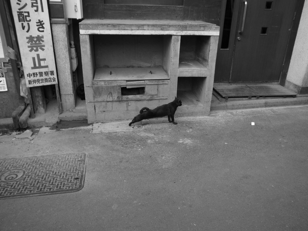こいつの伸び