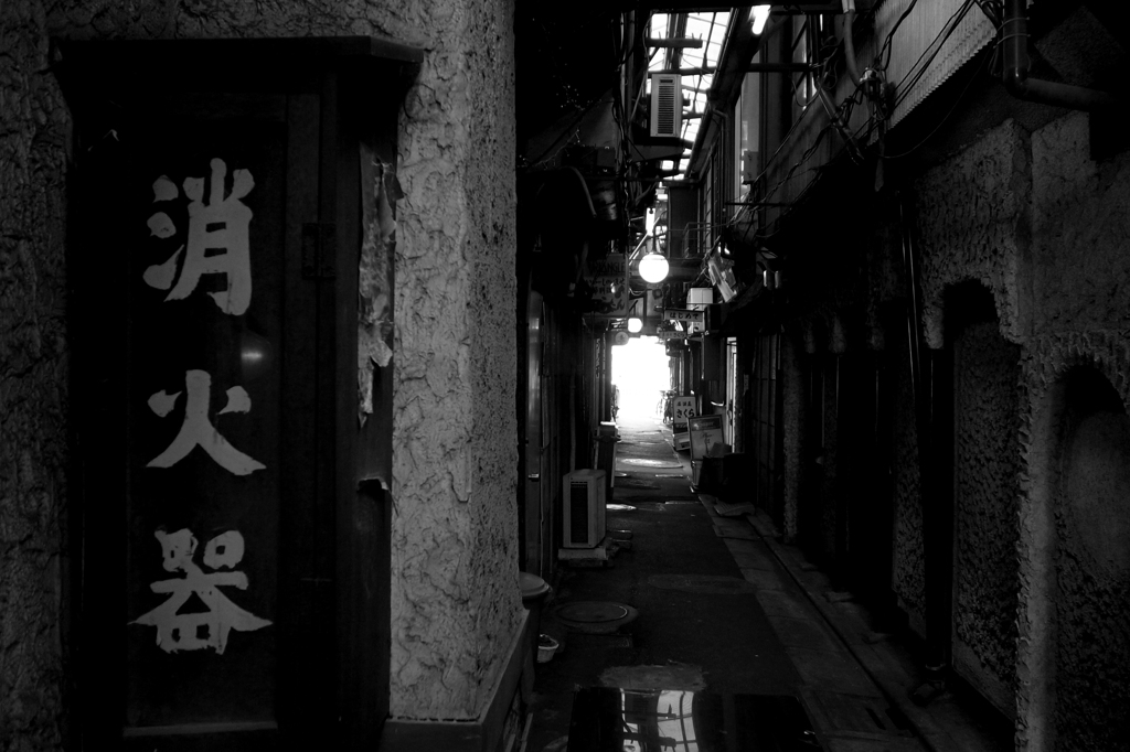 魅惑の街8