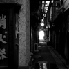 魅惑の街8