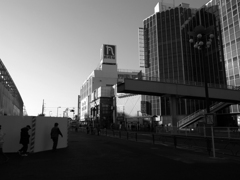 武蔵野風景1