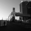 武蔵野風景1