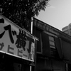 魅惑の街9