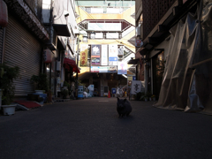 中野のスナイパー