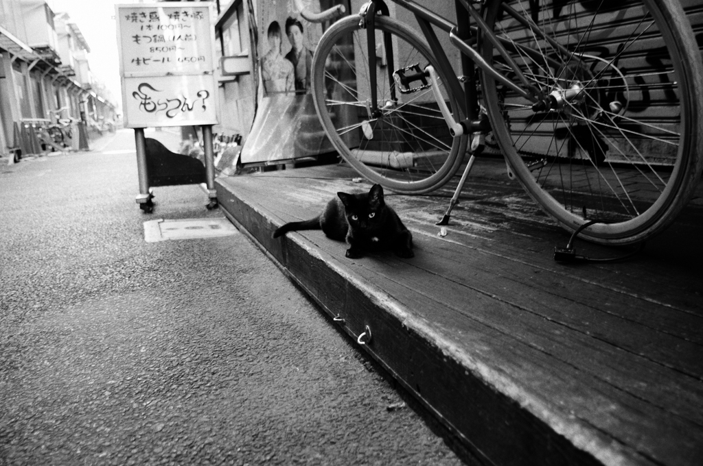 中野のあいつ
