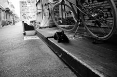 中野のあいつ