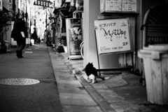 中野景色2