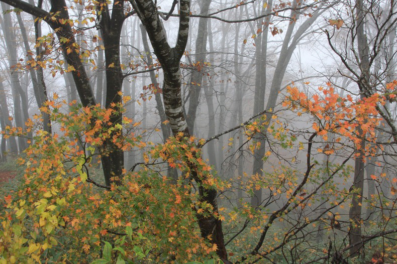 　　秋色添えて　　1