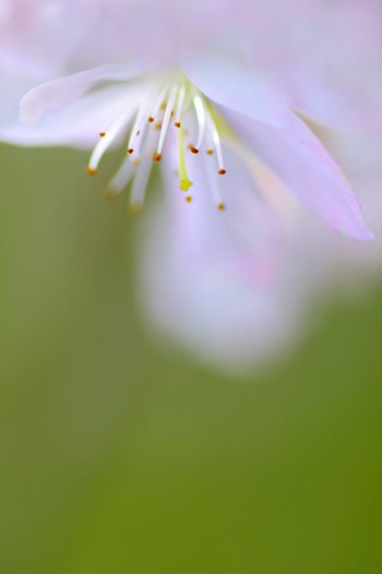 　　忘れられない想い