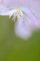 　　忘れられない想い