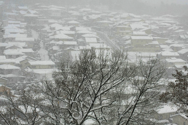 　　雪の降る町