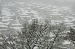 　　雪の降る町