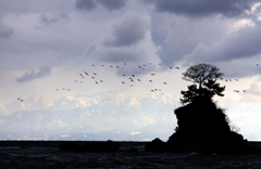 　　希望に向かって