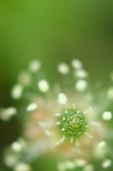 　　ファンタジック  