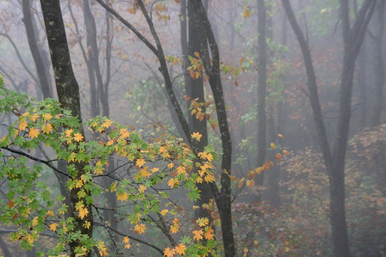 　　秋色添えて　　3