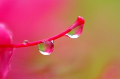 　　雨のイアリング