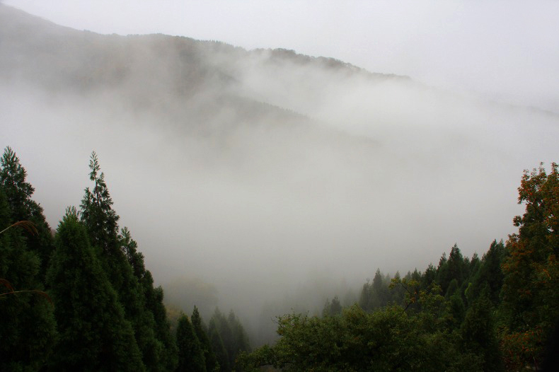 　　霧たちこめる