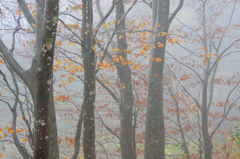 　　秋色添えて　　4