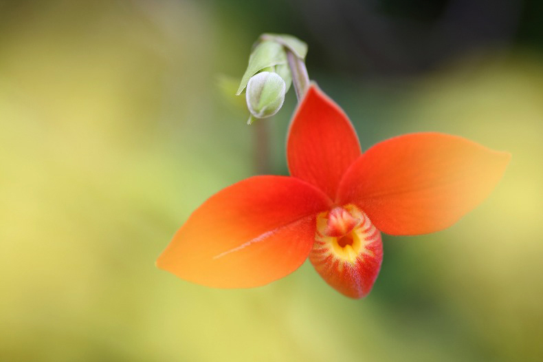 　　一瞬のときめき