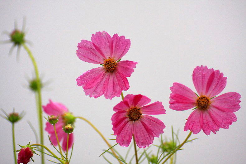 　　雨のステージ　3