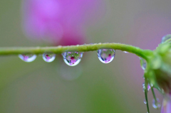 　　雨のステージ　4