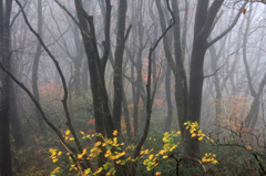 　　秋色添えて　　2