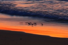 　　夕焼けの渚