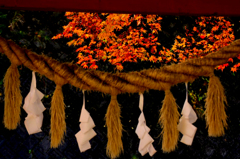 　　紅葉点景　1