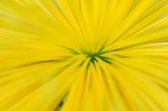 　　吸い寄せられて