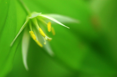 　　ひとときの幸せ