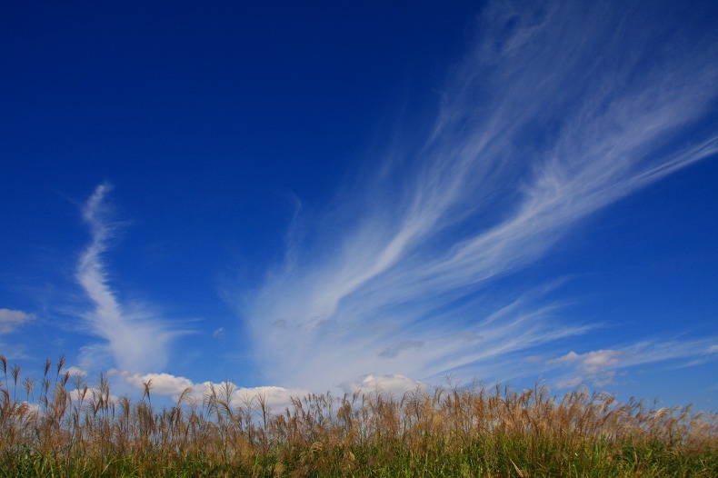 　　秋雲　