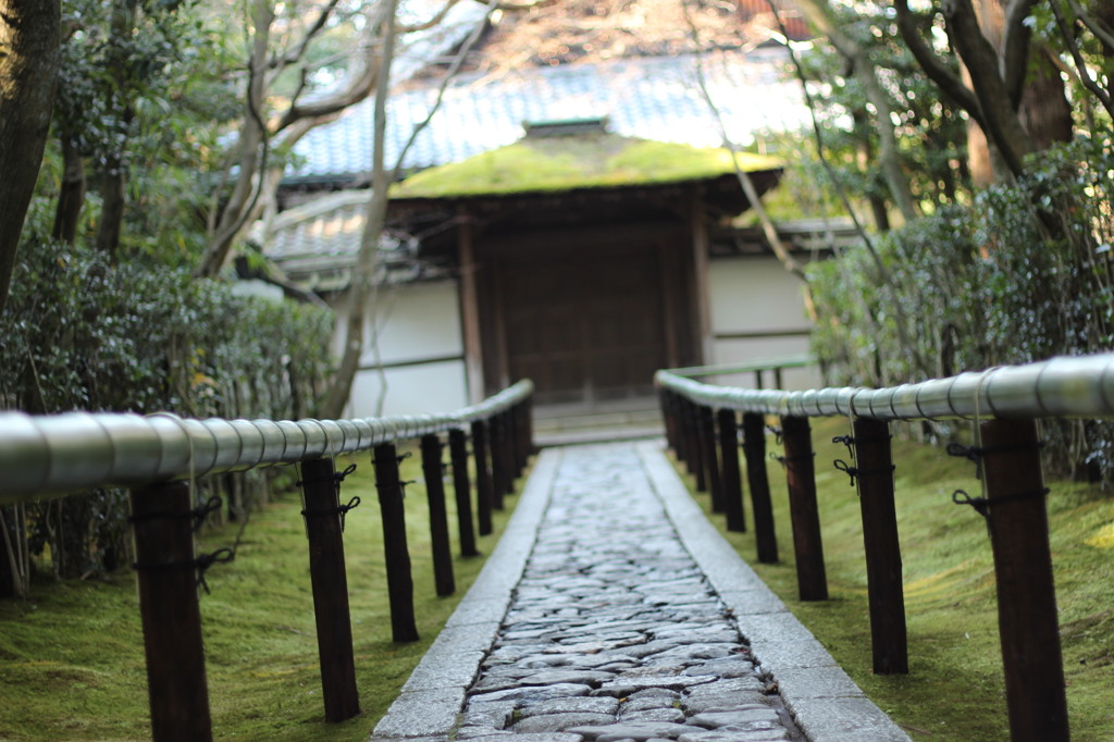 高桐院。