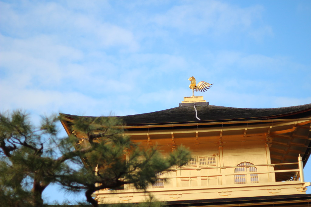 大晦日 in 金閣寺