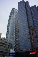 DSC00524