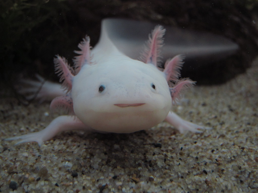 こんにちは