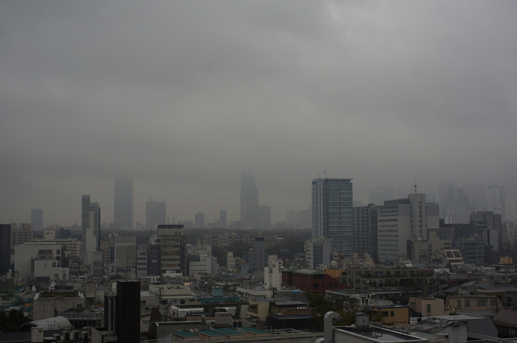雨の新宿