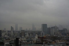 雨の新宿