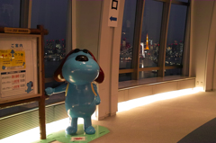 展望台より