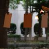 中の小鳥