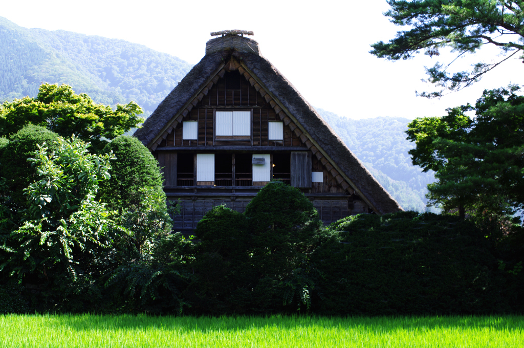 和田家