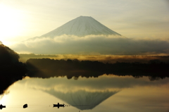 樹海朝景