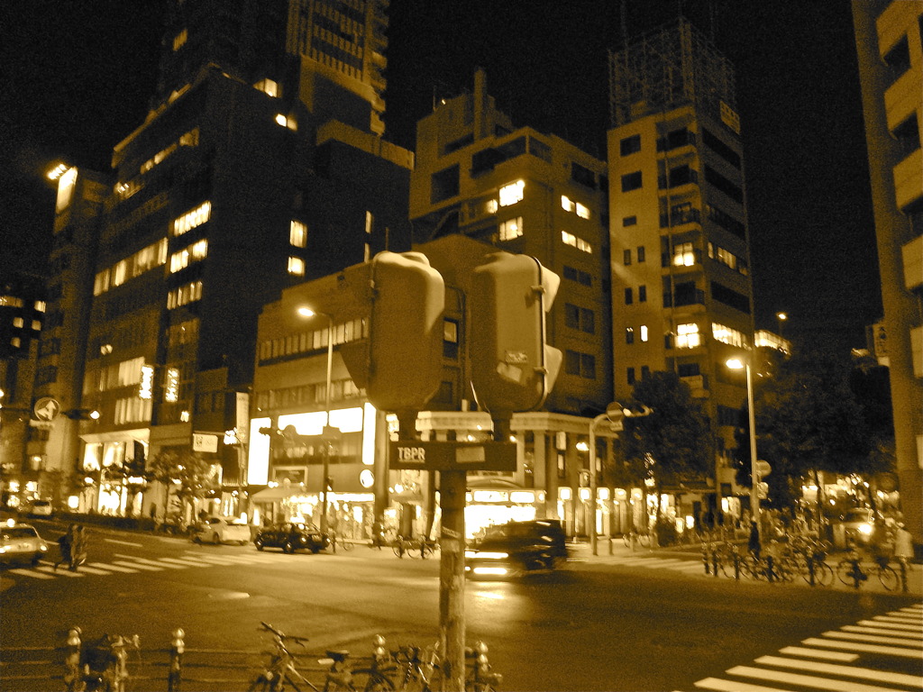 交通管理人