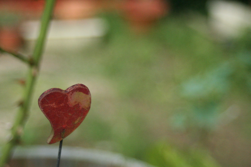 BrokenHeart